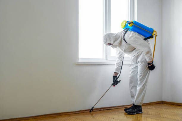 Best Wasp Removal Services  in Gordonsville, TN