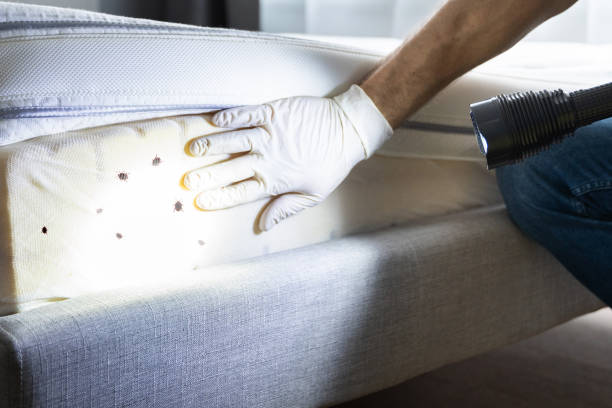 Best Pest Control Near Me  in Gordonsville, TN