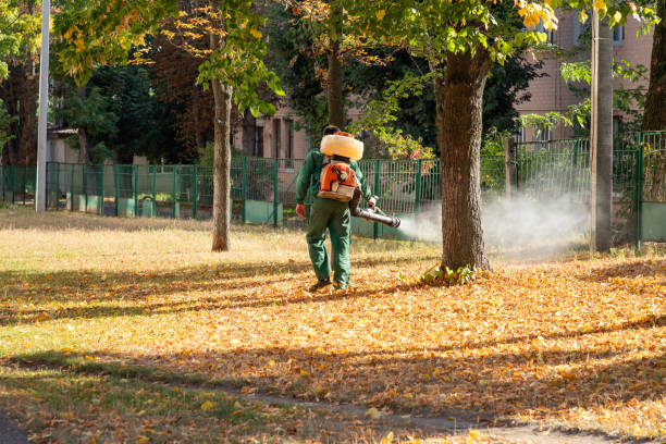 Pest Control Cost in Gordonsville, TN